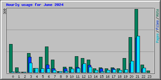 Hourly usage for June 2024