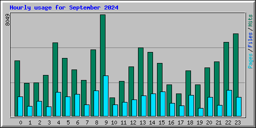 Hourly usage for September 2024