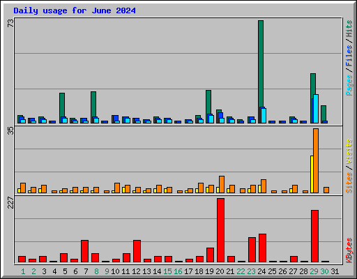Daily usage for June 2024