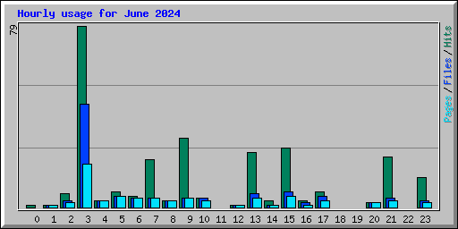 Hourly usage for June 2024