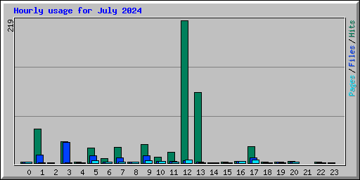 Hourly usage for July 2024