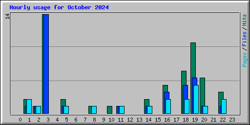 Hourly usage for October 2024