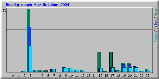 Hourly usage for October 2024