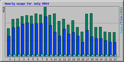 Hourly usage for July 2024