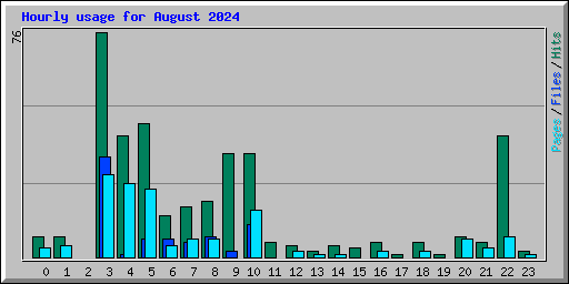 Hourly usage for August 2024