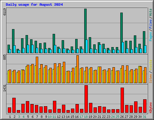 Daily usage for August 2024