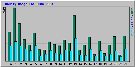 Hourly usage for June 2024