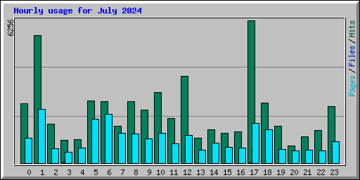 Hourly usage for July 2024