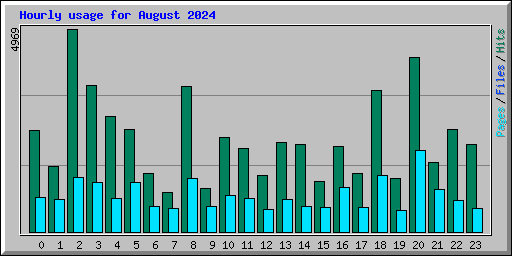 Hourly usage for August 2024