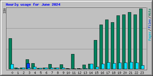Hourly usage for June 2024