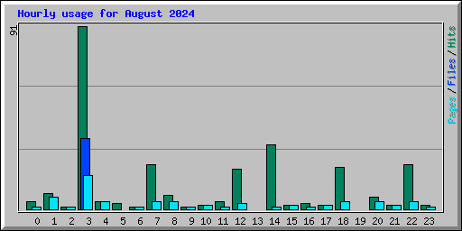 Hourly usage for August 2024