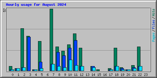 Hourly usage for August 2024