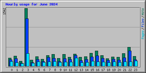 Hourly usage for June 2024