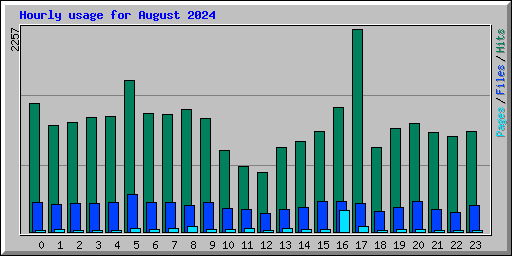 Hourly usage for August 2024