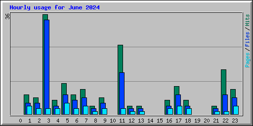 Hourly usage for June 2024