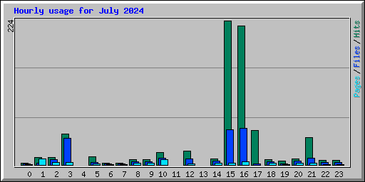 Hourly usage for July 2024