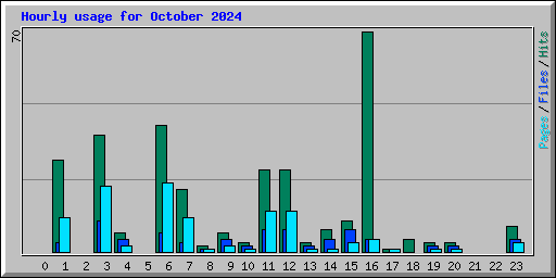 Hourly usage for October 2024