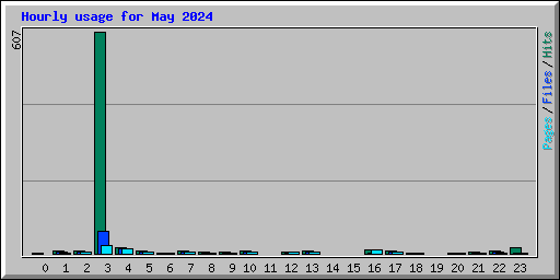 Hourly usage for May 2024