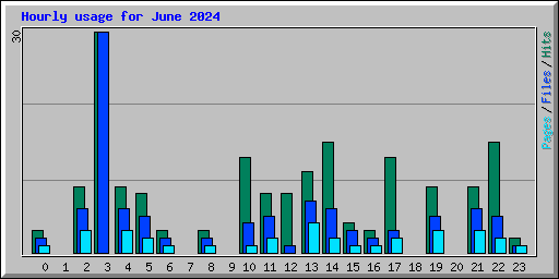 Hourly usage for June 2024
