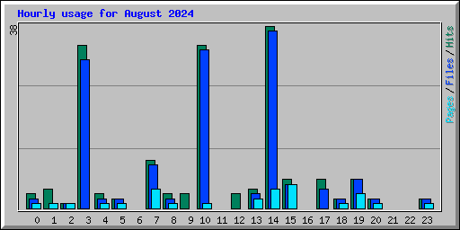 Hourly usage for August 2024