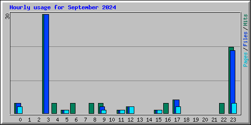 Hourly usage for September 2024