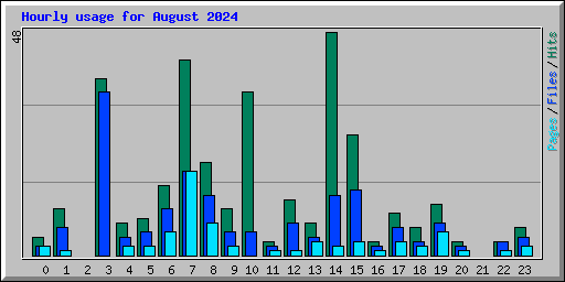 Hourly usage for August 2024