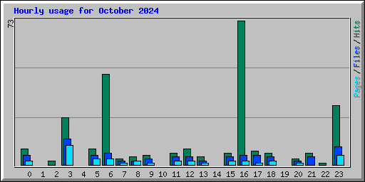 Hourly usage for October 2024